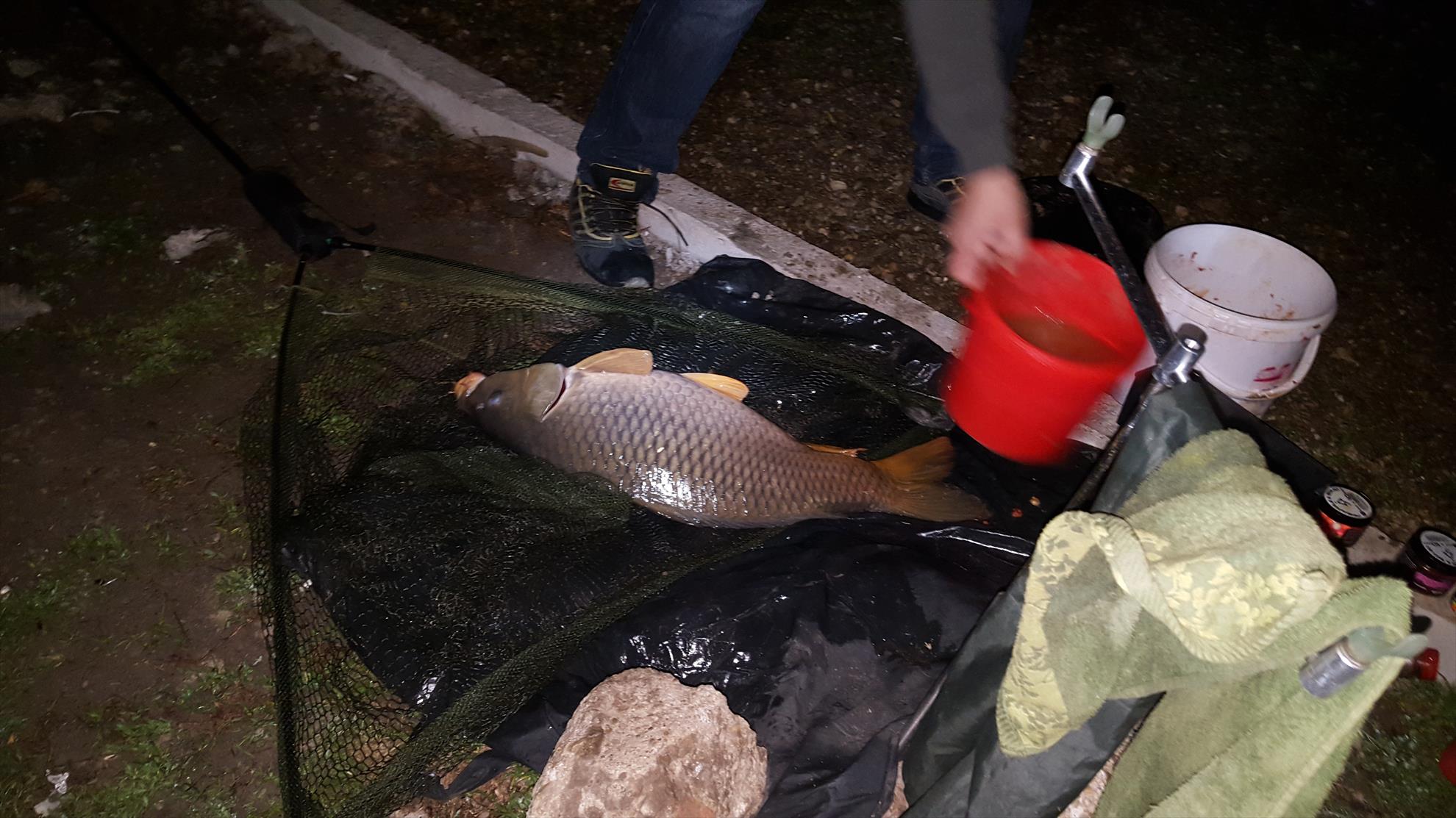 Hermes Peris 26 - 27 martie 2016 - 20160327050732.jpg